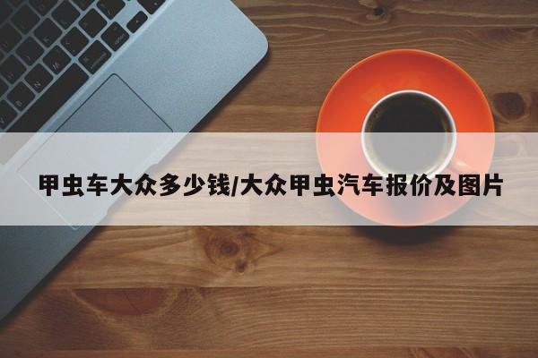 甲虫车大众多少钱/大众甲虫汽车报价及图片