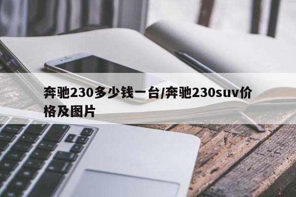 奔驰230多少钱一台/奔驰230suv价格及图片