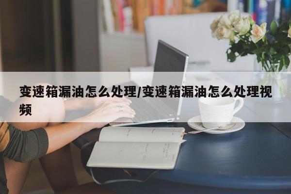 变速箱漏油怎么处理/变速箱漏油怎么处理视频