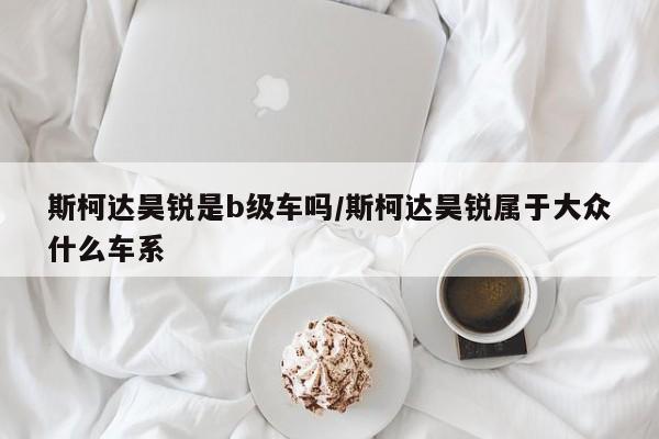 斯柯达昊锐是b级车吗/斯柯达昊锐属于大众什么车系