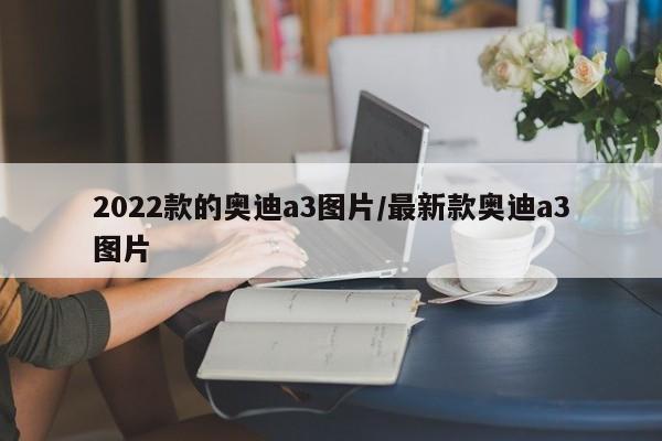 2022款的奥迪a3图片/最新款奥迪a3图片
