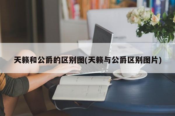 天籁和公爵的区别图(天籁与公爵区别图片)