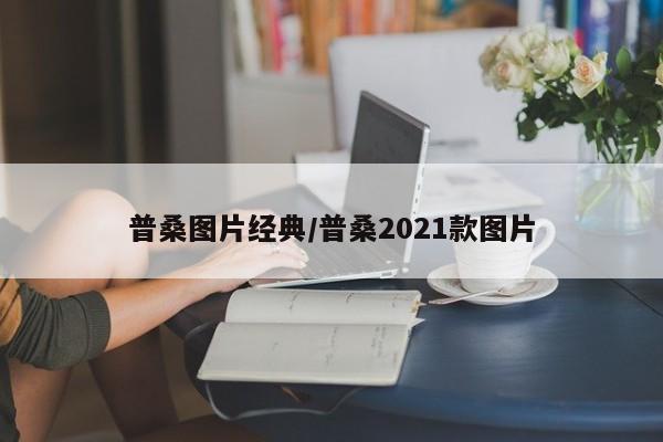 普桑图片经典/普桑2021款图片