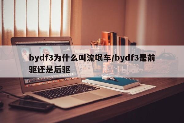 bydf3为什么叫流氓车/bydf3是前驱还是后驱