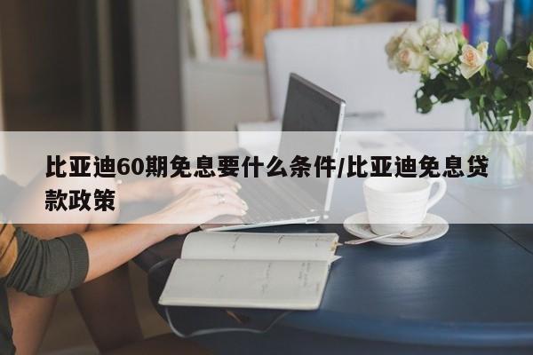 比亚迪60期免息要什么条件/比亚迪免息贷款政策